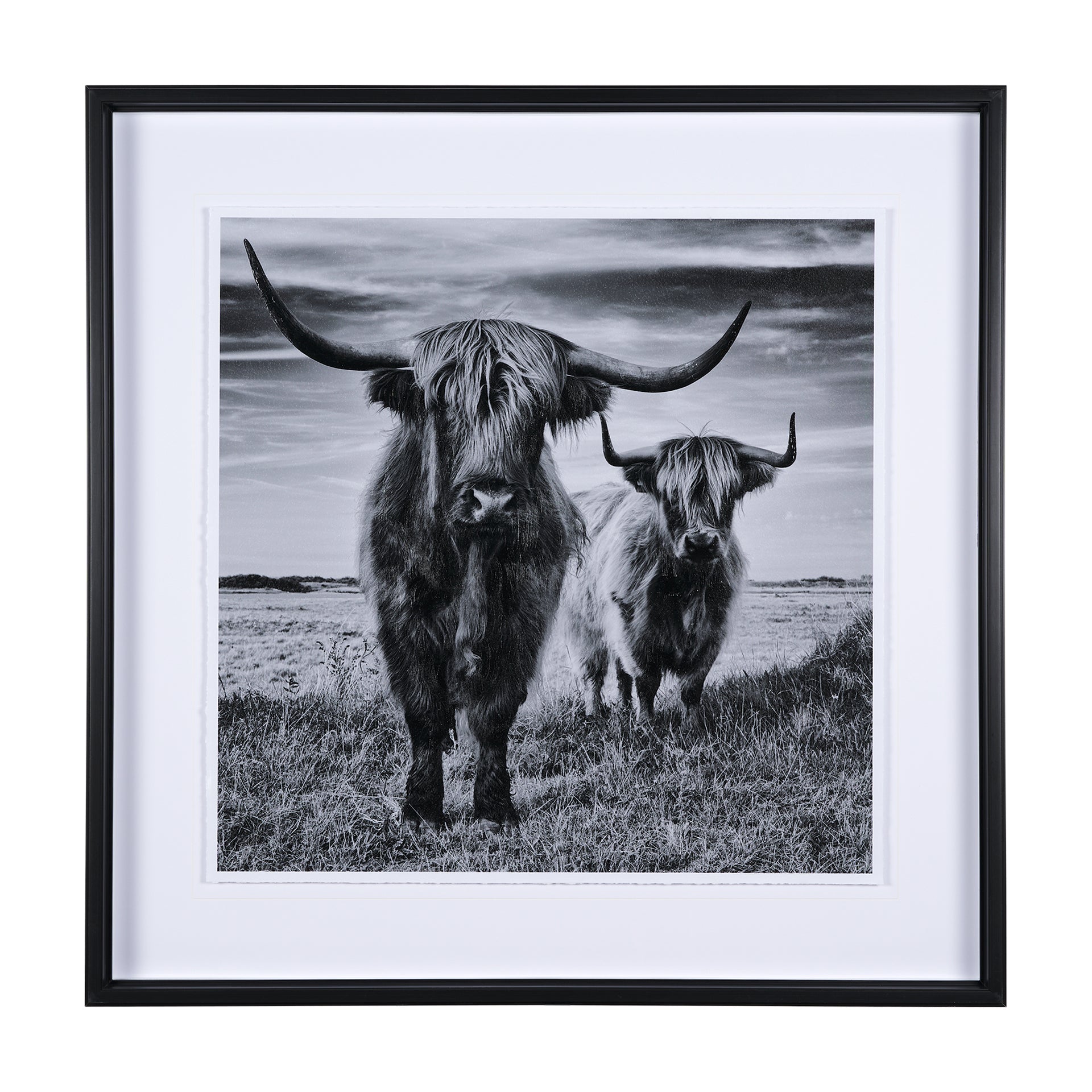 Highlands Framed Art