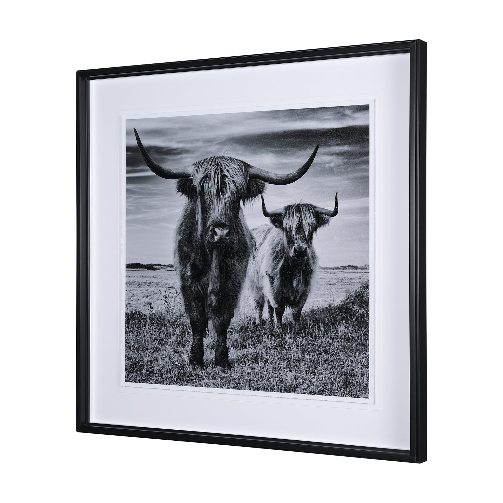 Highlands Framed Art