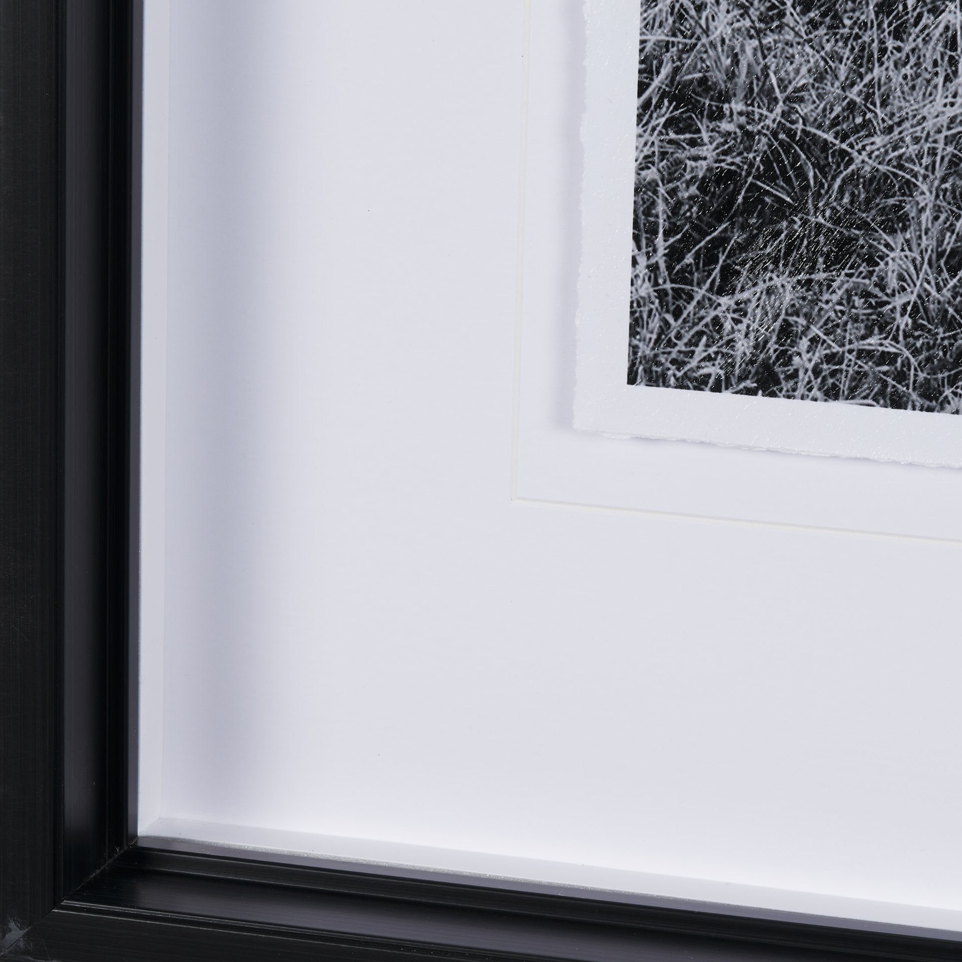 Highlands Framed Art