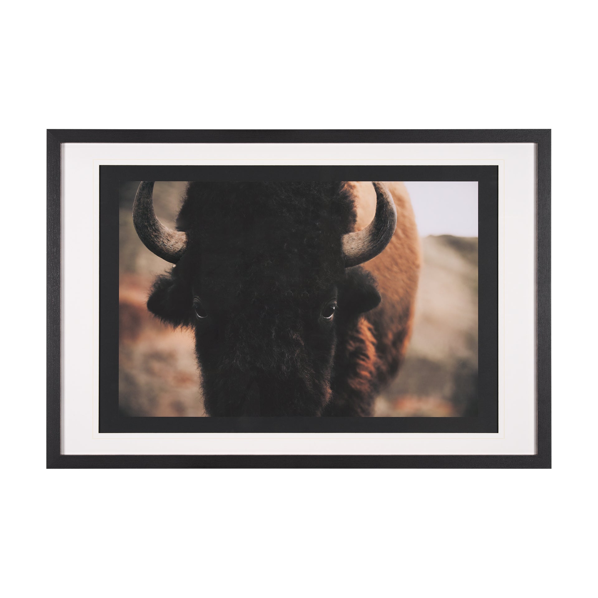 Stare Down Framed Art