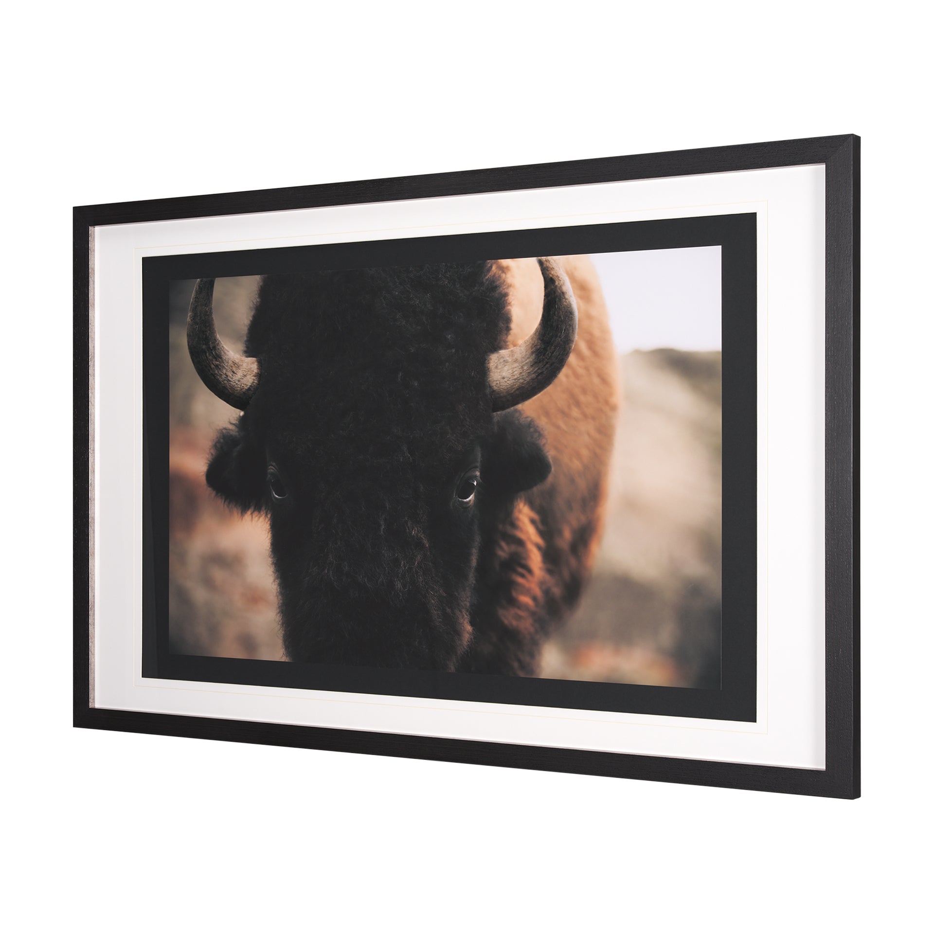 Stare Down Framed Art