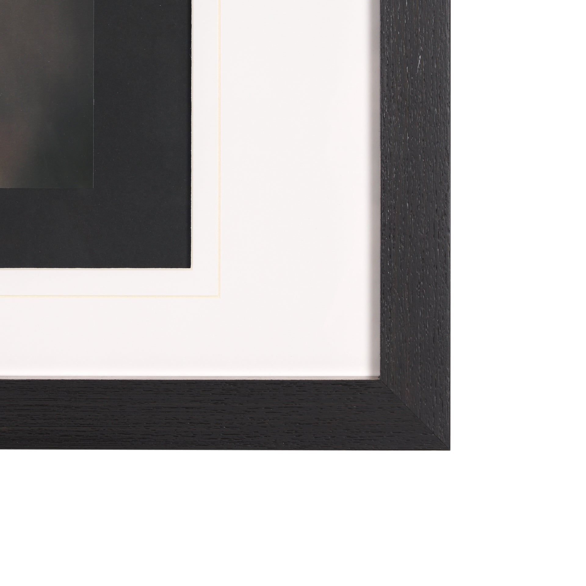 Stare Down Framed Art