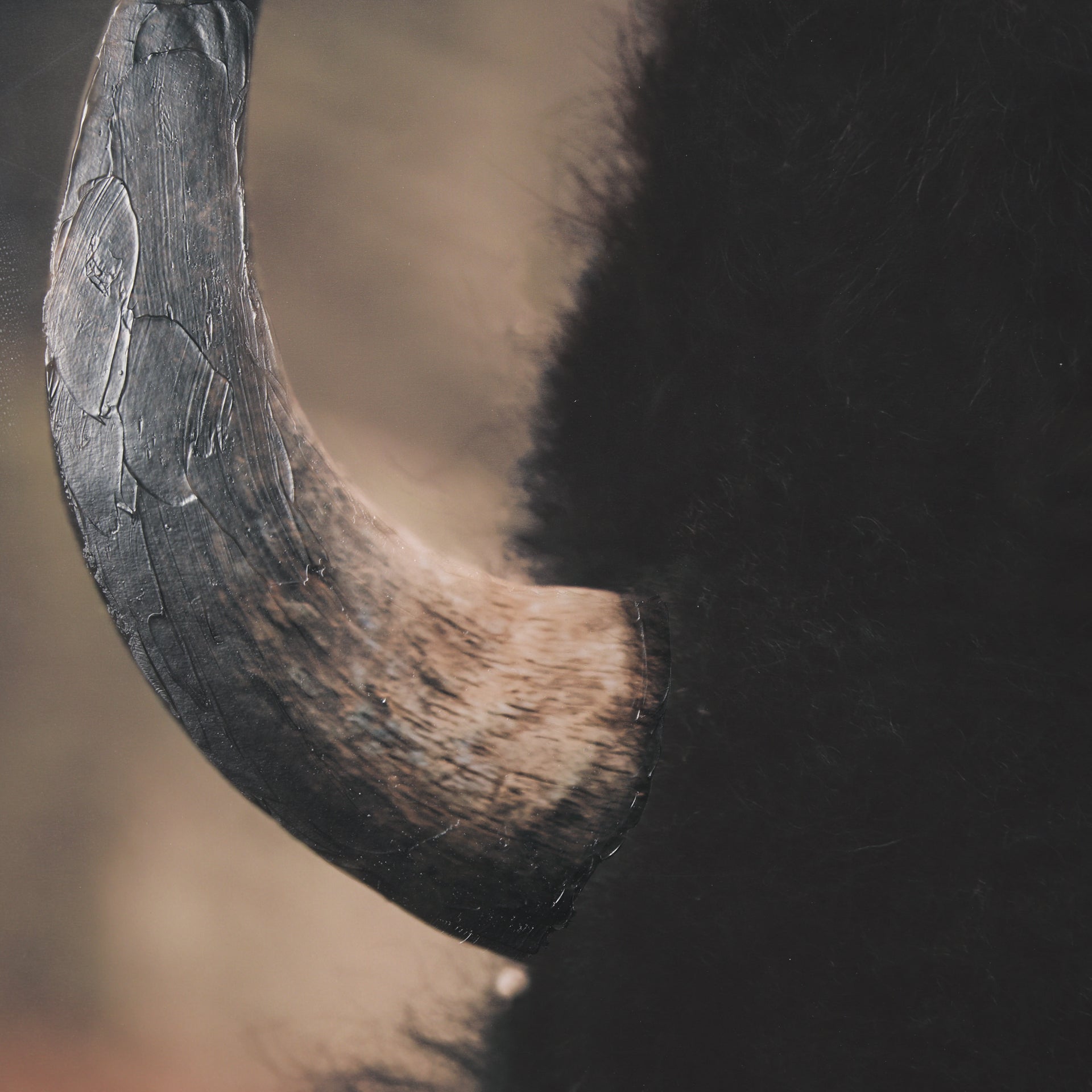 Stare Down Framed Art