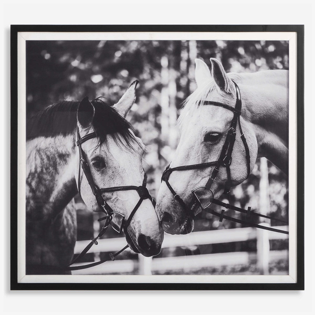 Apple of My Eye Framed Print
