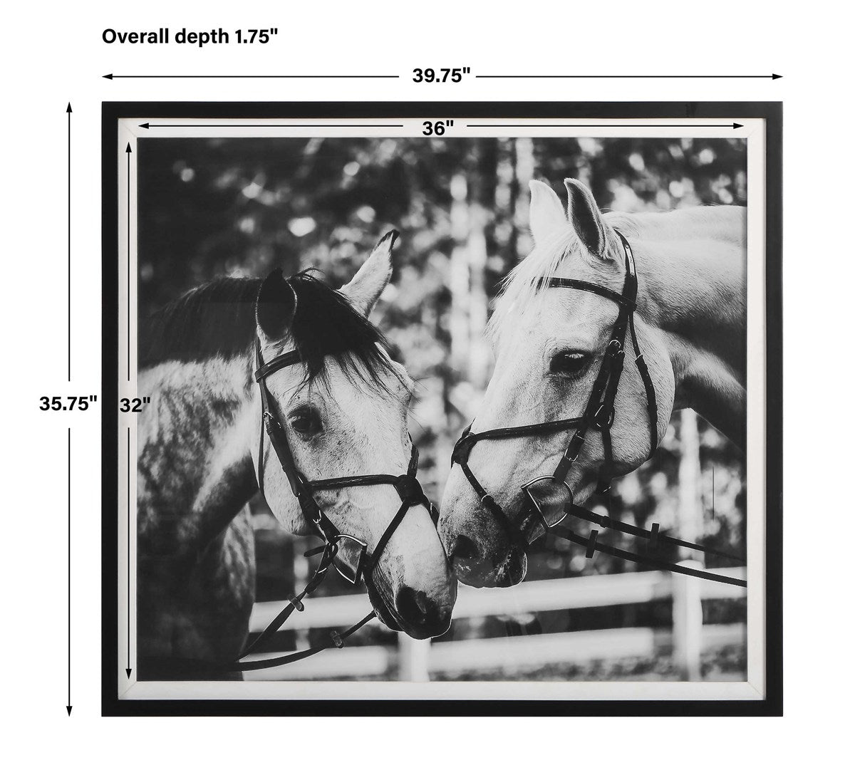Apple of My Eye Framed Print
