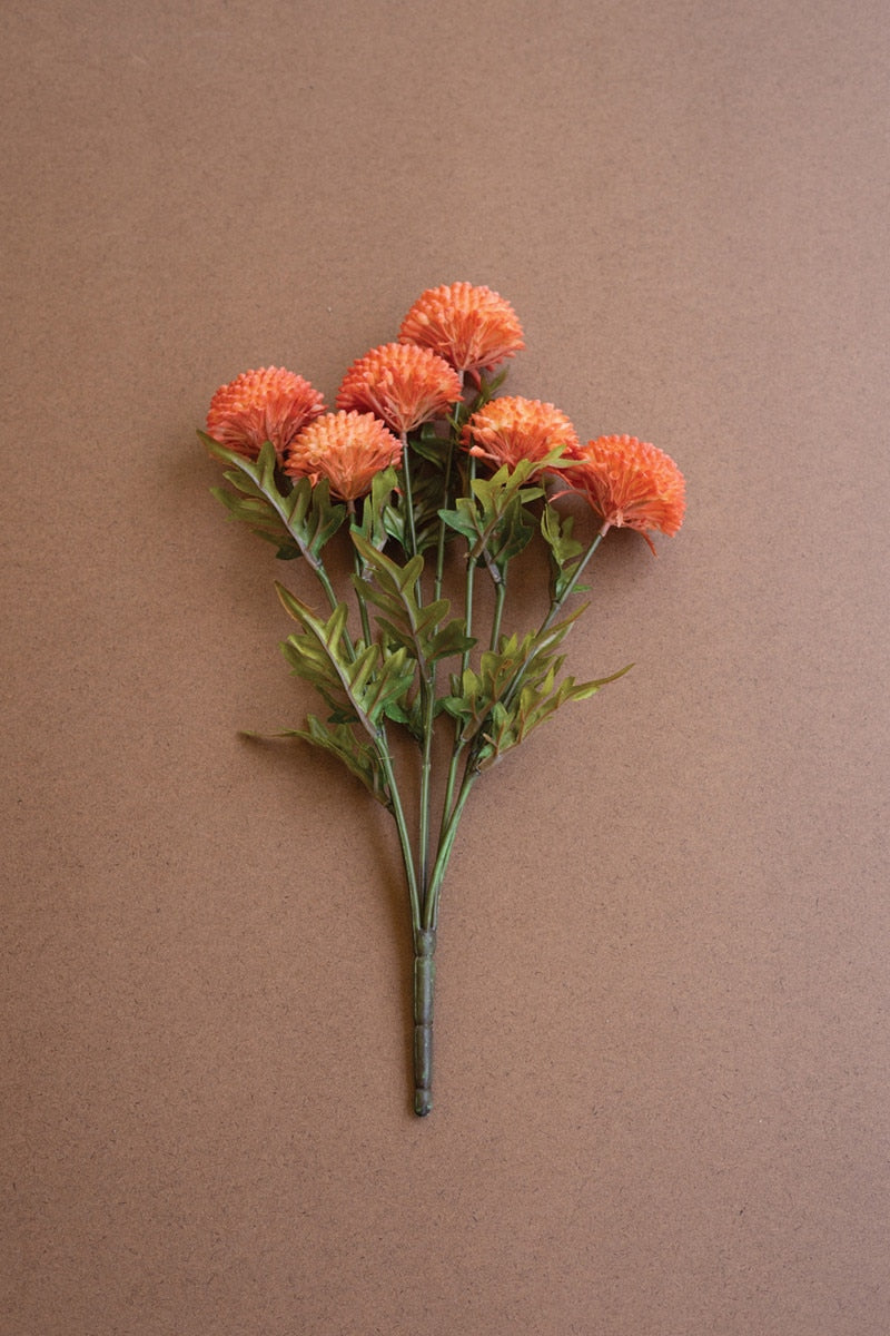 Bundle Orange Ball Dahlias