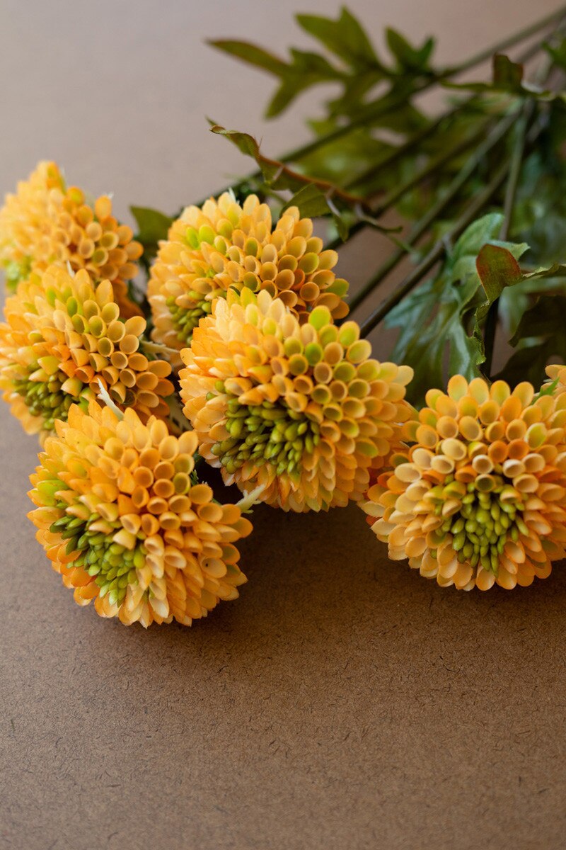 Bundle Yellow Ball Dahlias