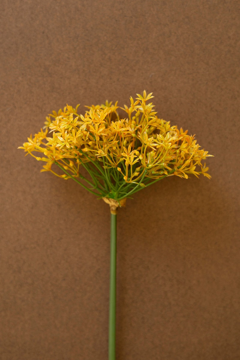 Yellow Scallion Flower