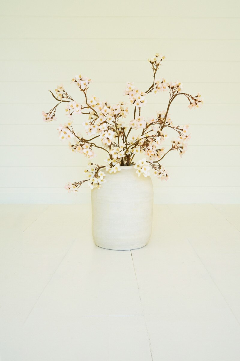 Botanica #3466