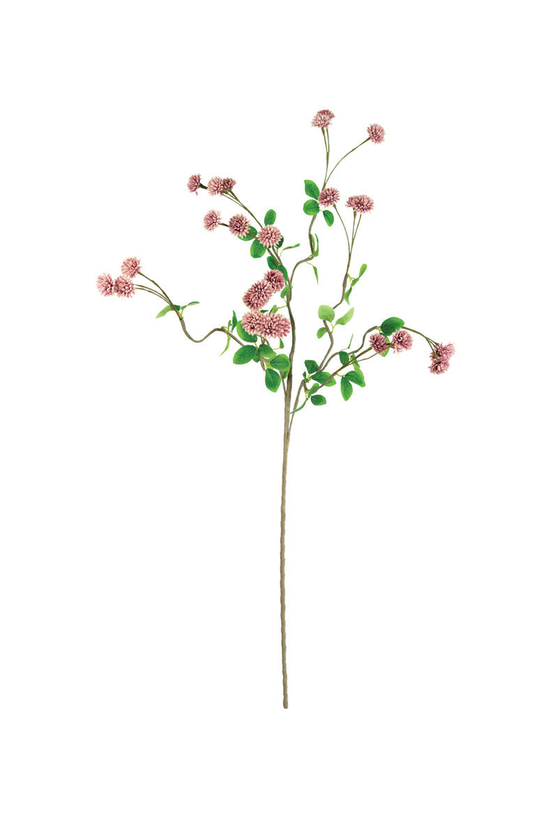 Botanica #3473