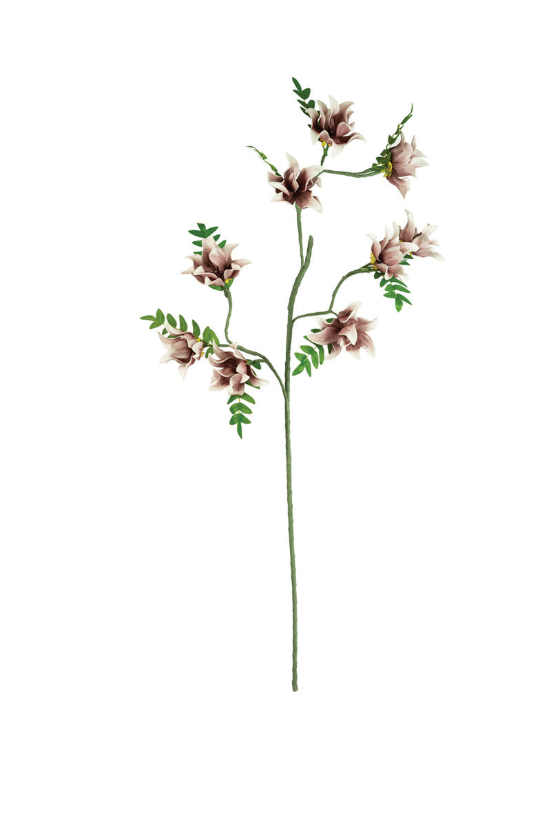 Botanica #3490