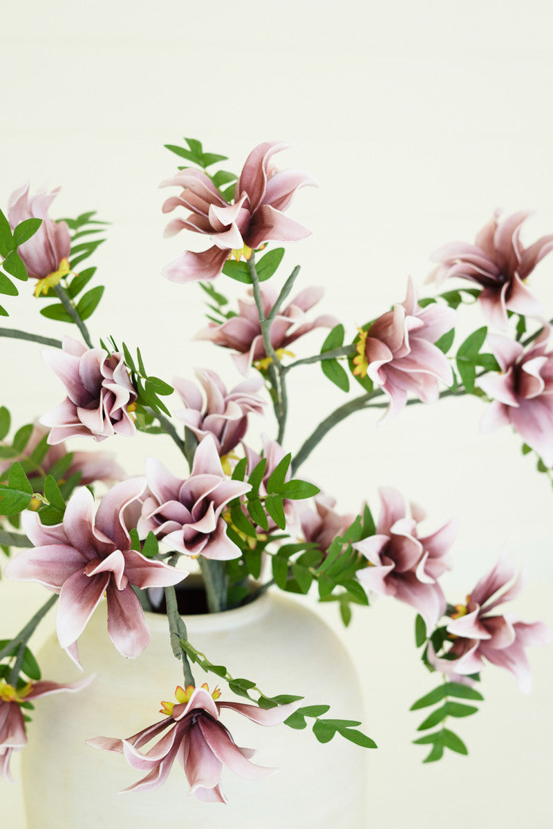 Botanica #3490