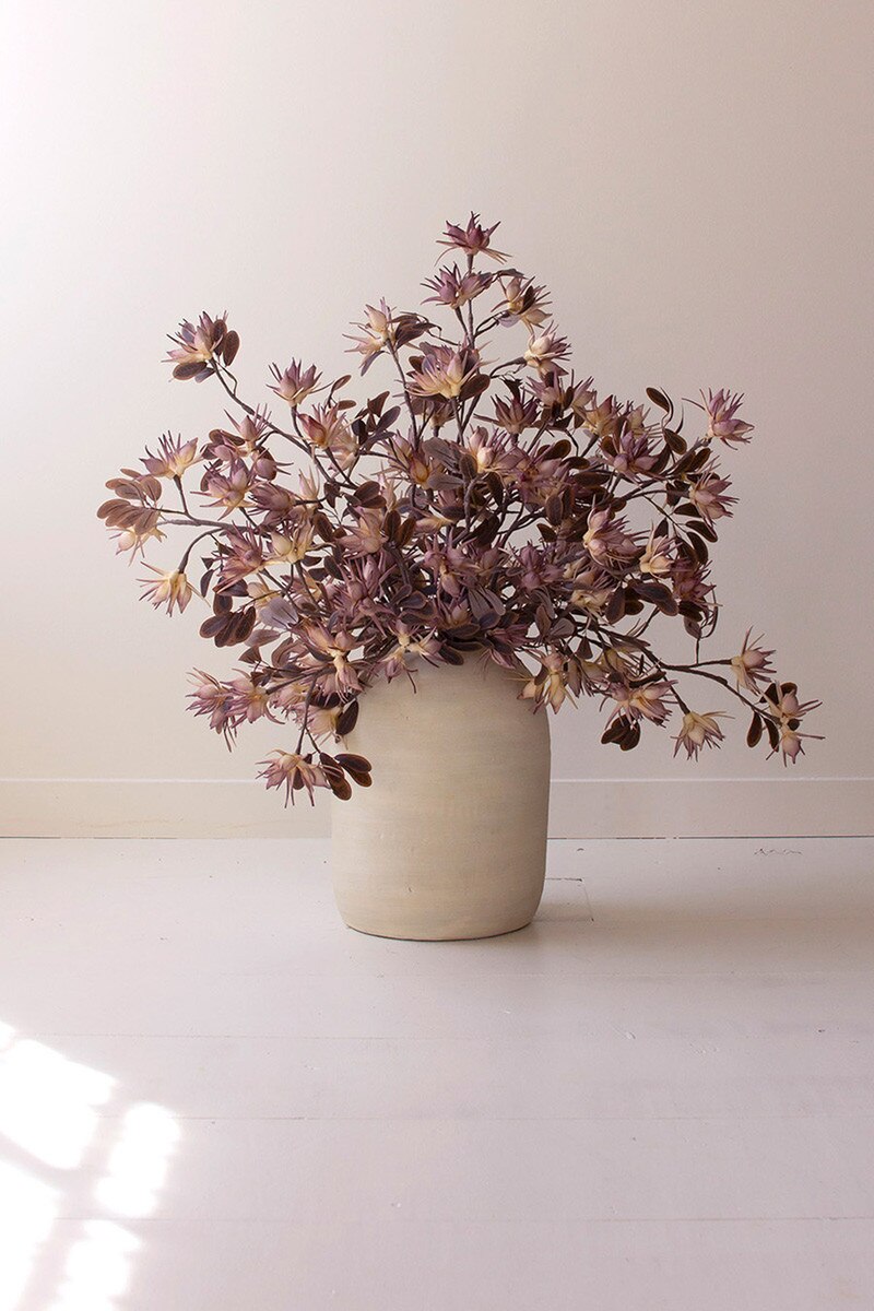 Botanica #3499