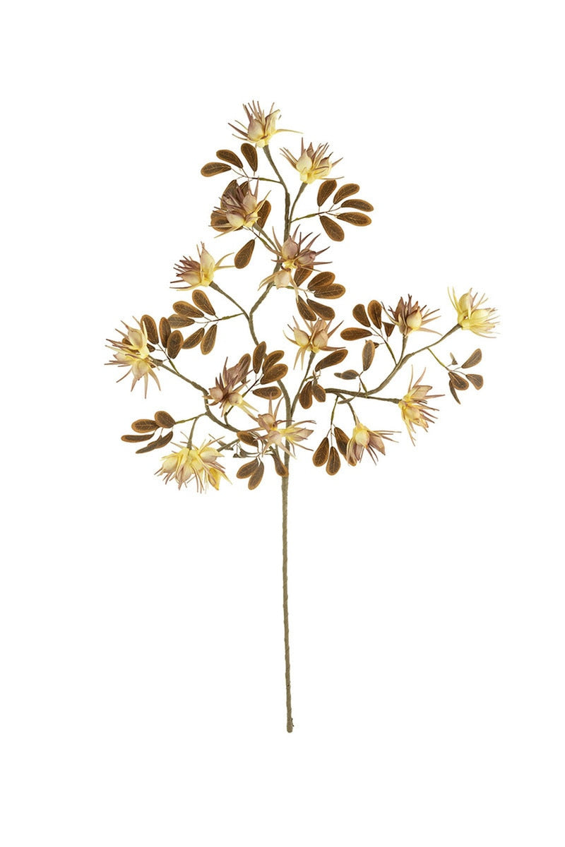 Botanica #3499