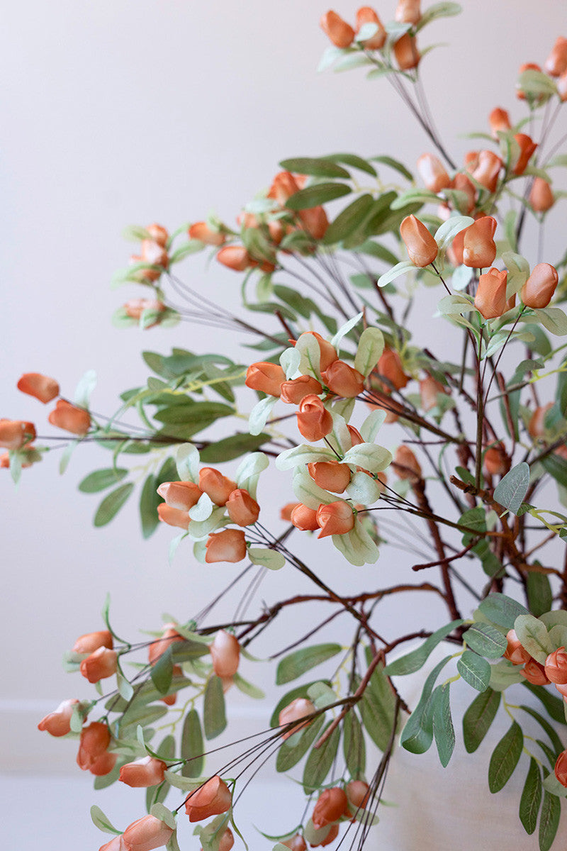 Botanica #3516