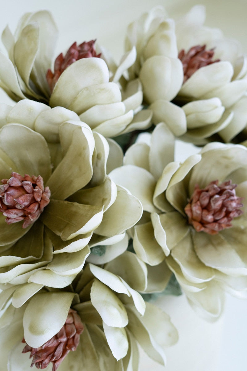 Botanica #3575