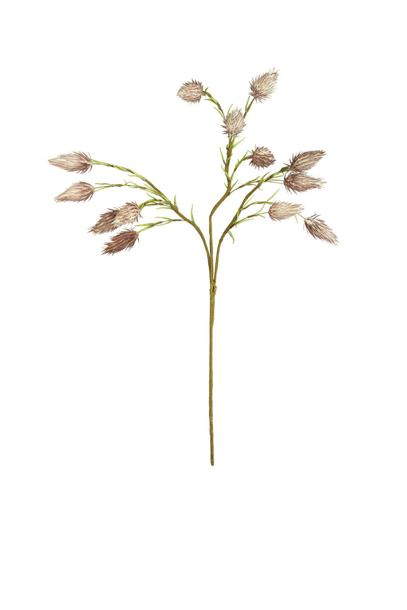 Botanica #2687