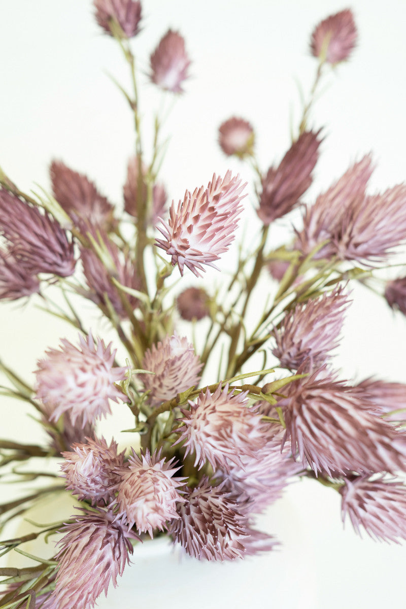 Botanica #2687