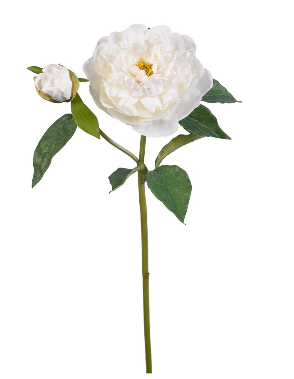 Peony Natural Touch 23"