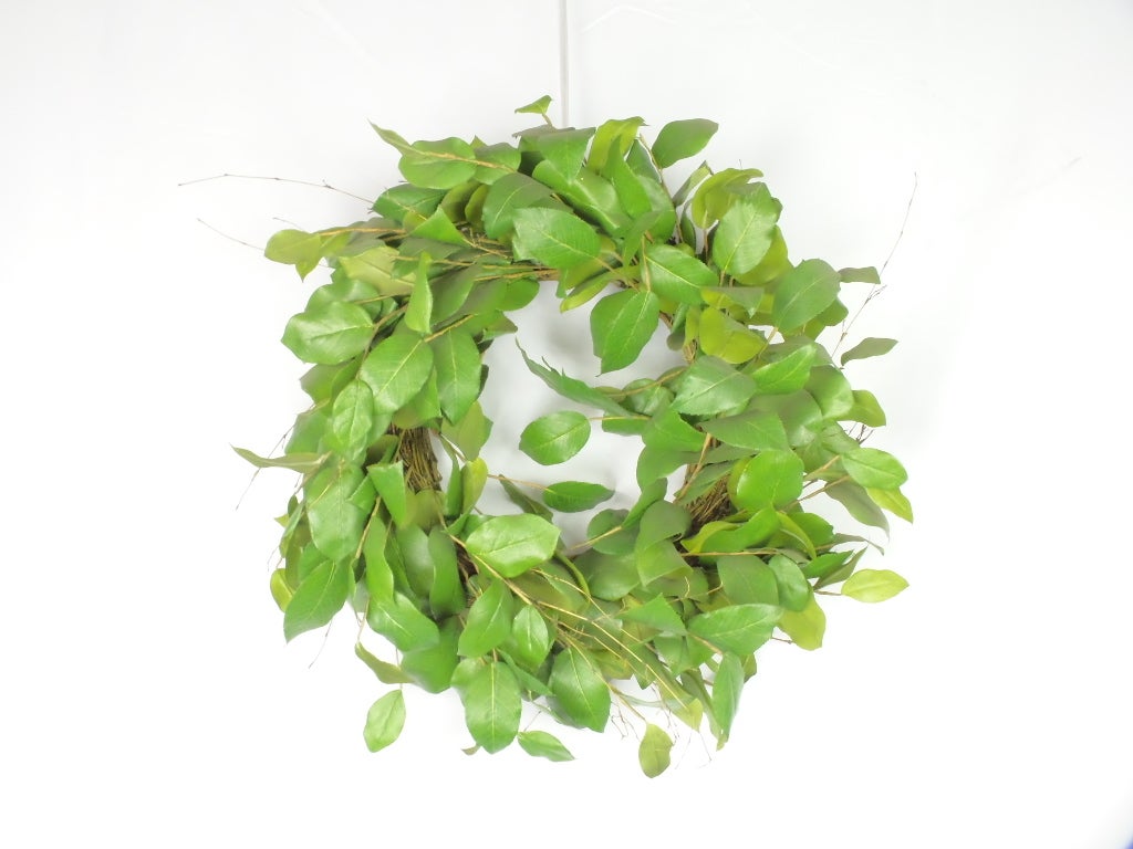 Lemon Leaves Wreath 24"