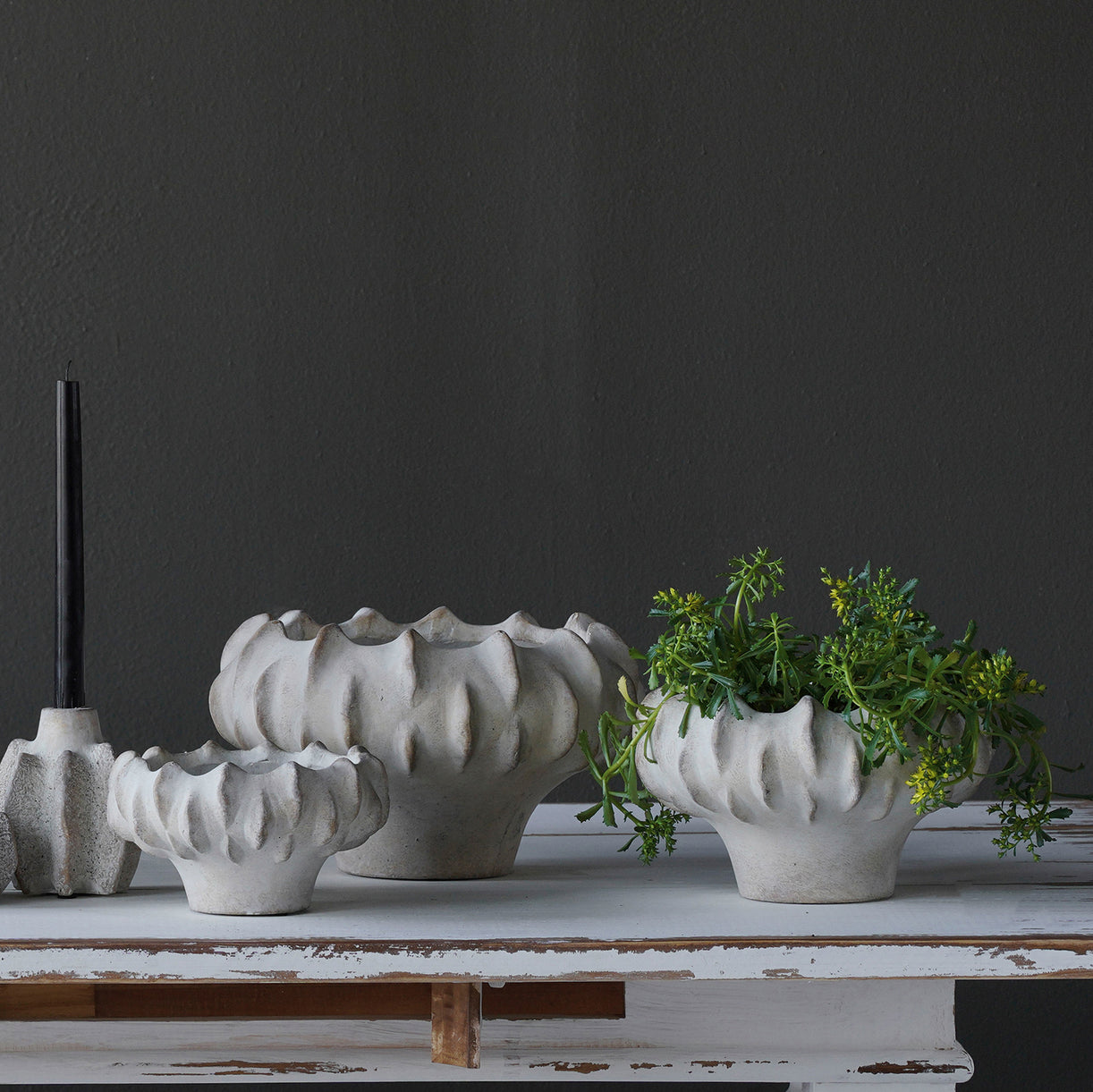 Concrete Lucid Planter Shallow