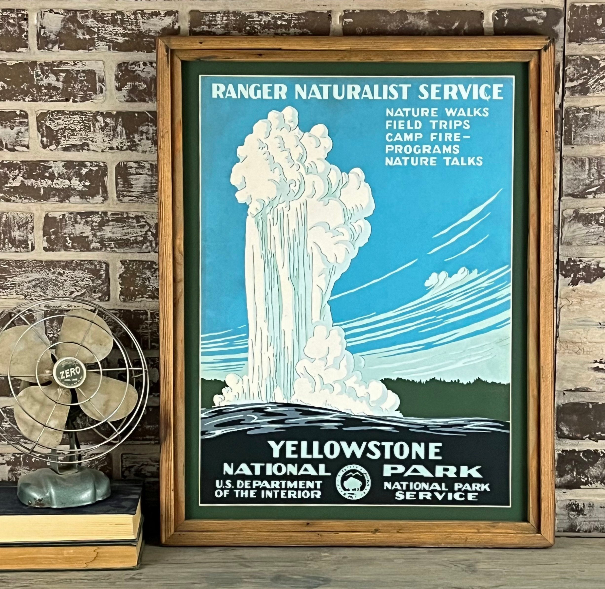 Yellowstone National Park Framed Art