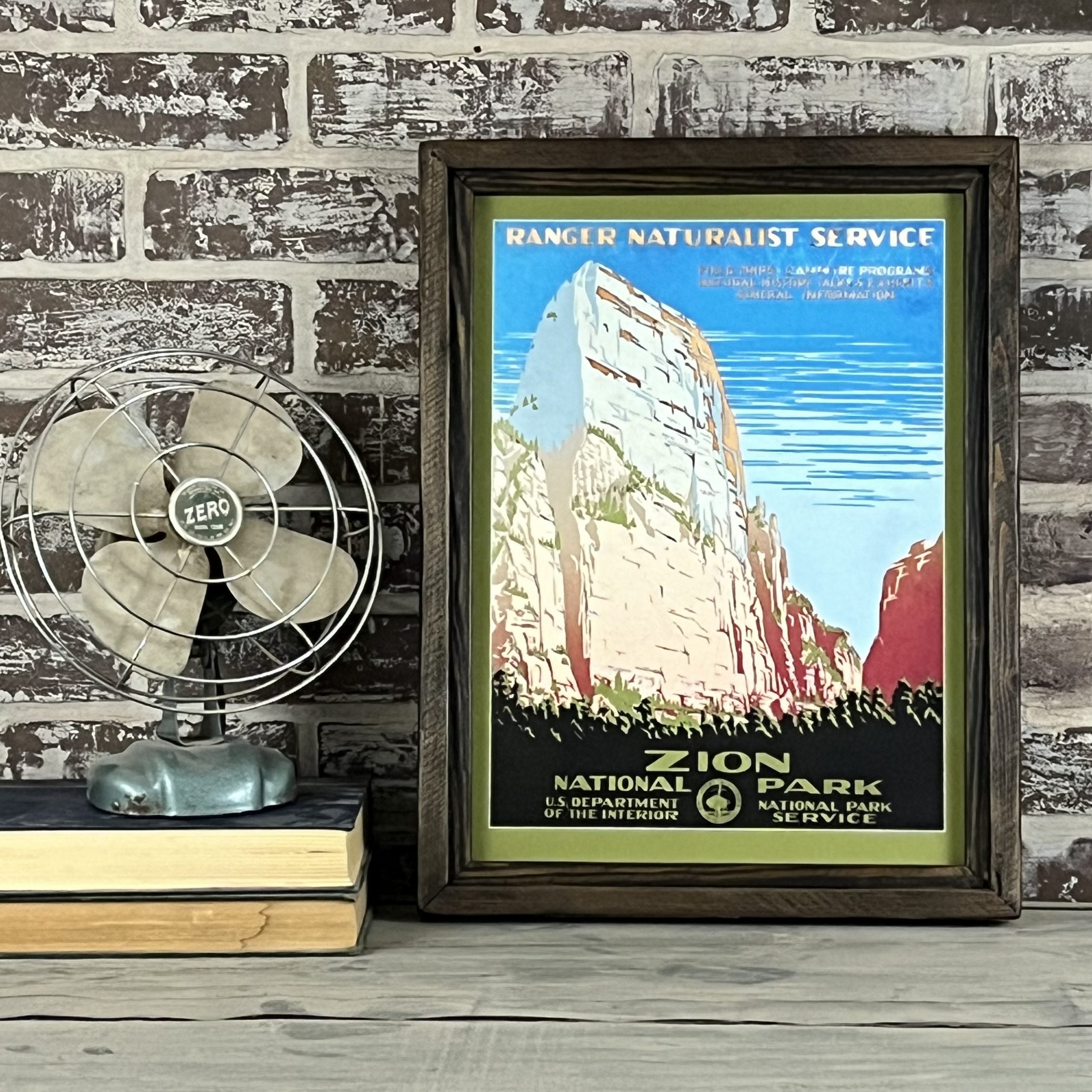 Zion National Park Framed Art