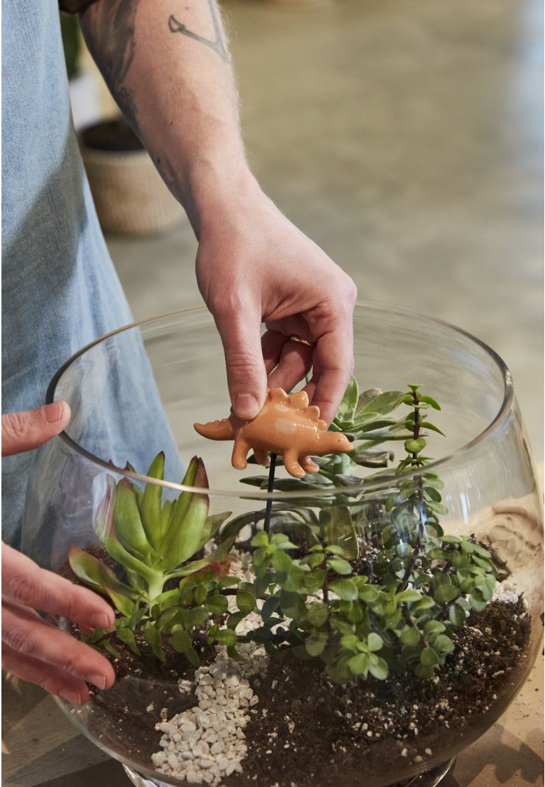 Assorted Dinosaur Friends Plant Sticks