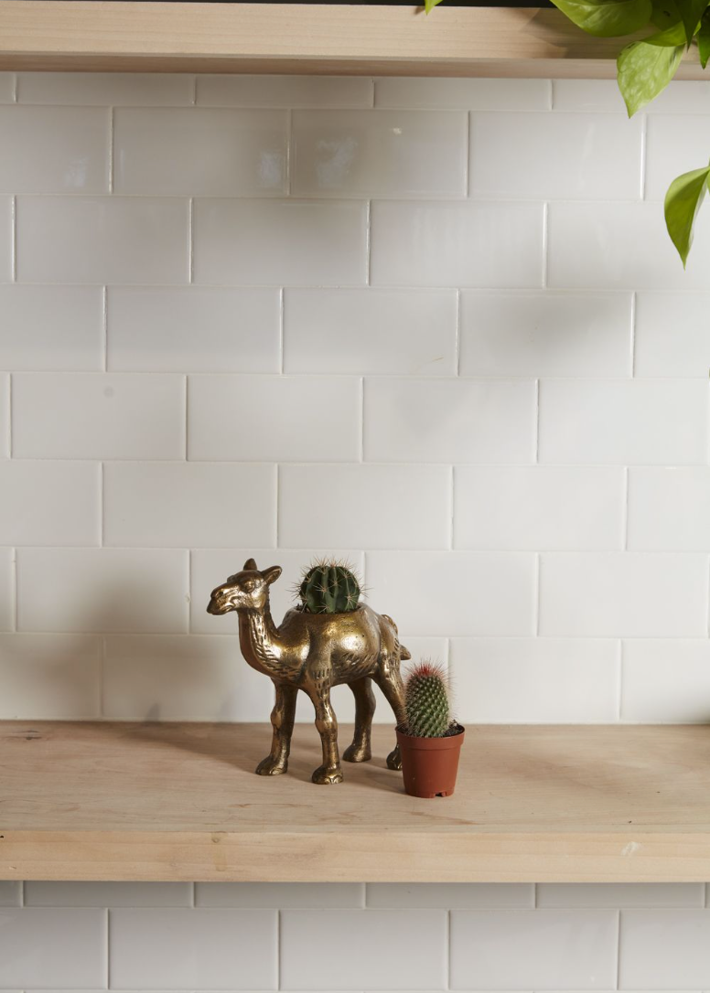 Brass Camel Planter