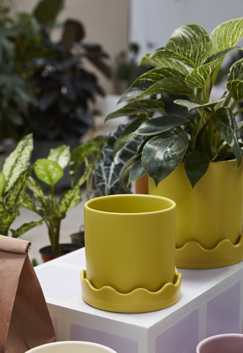 Pissaro Pot with Saucer