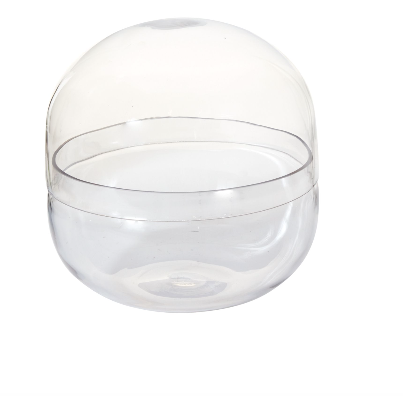 Observatory Terrarium