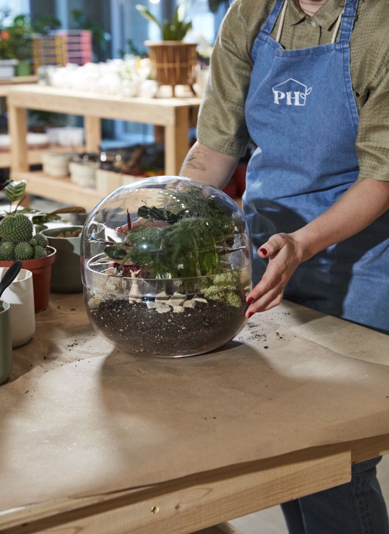 Observatory Terrarium