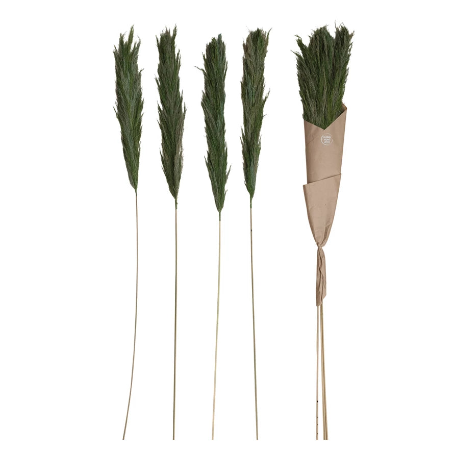 Dried Natural Velvet Grass Bunch - Green