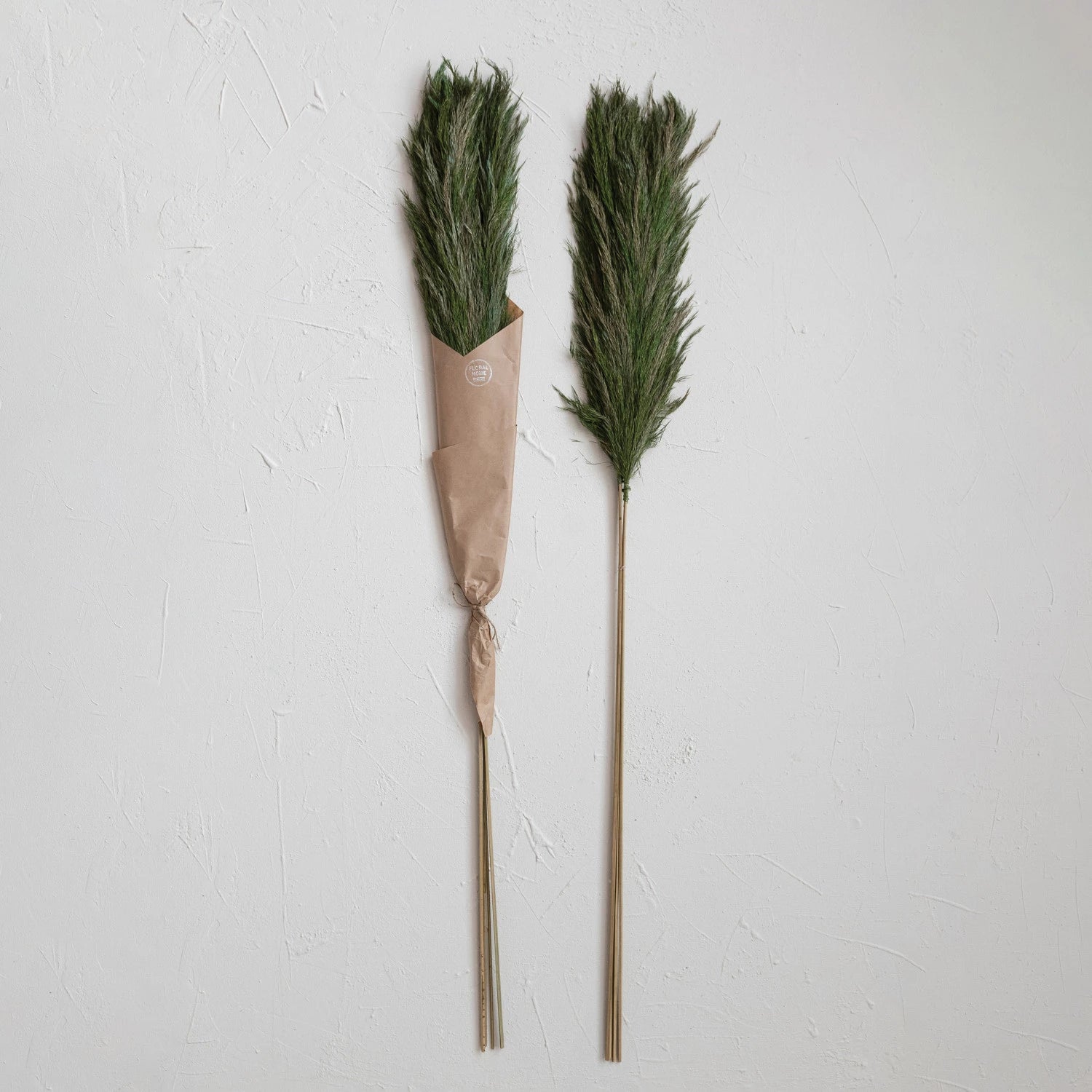 Dried Natural Velvet Grass Bunch - Green