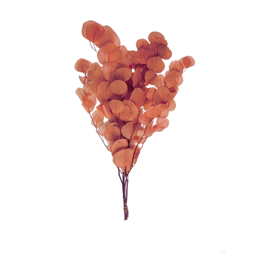 Dried Natural Eucalyptus Bunch, Salmon Color