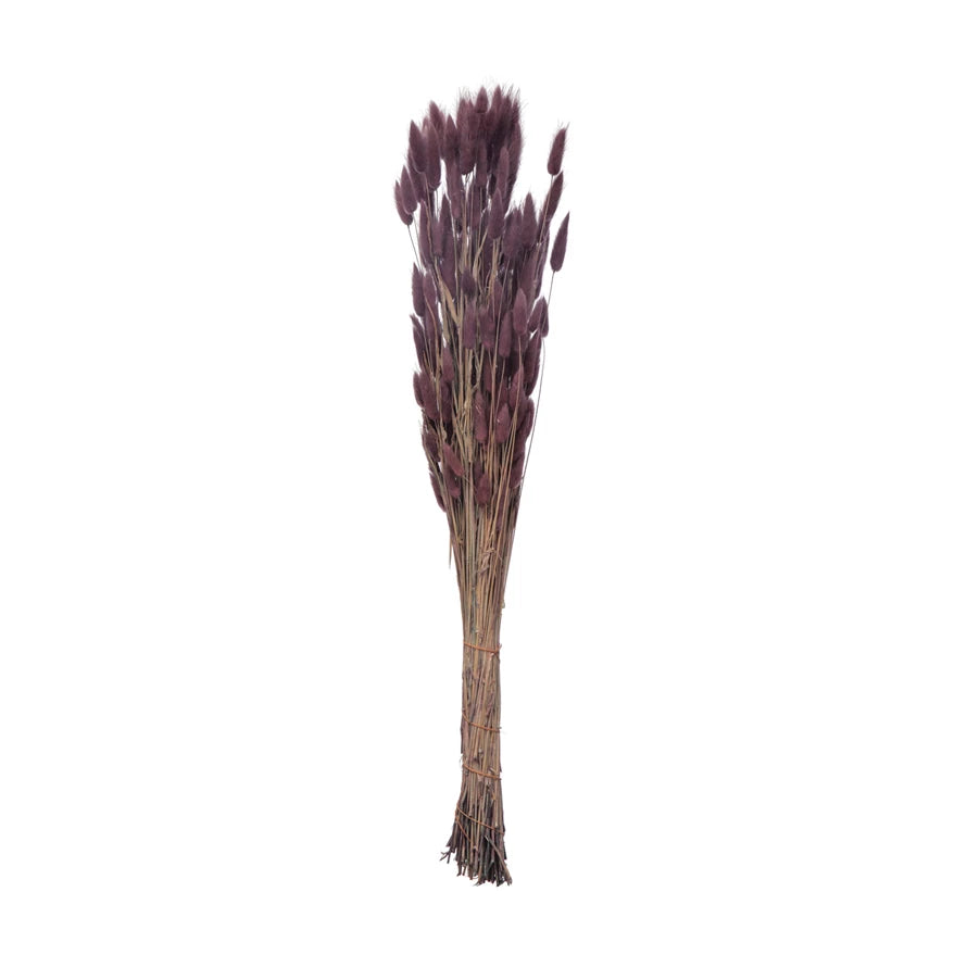 Dried Natural Bunny Tail Bunch, Lavender Color