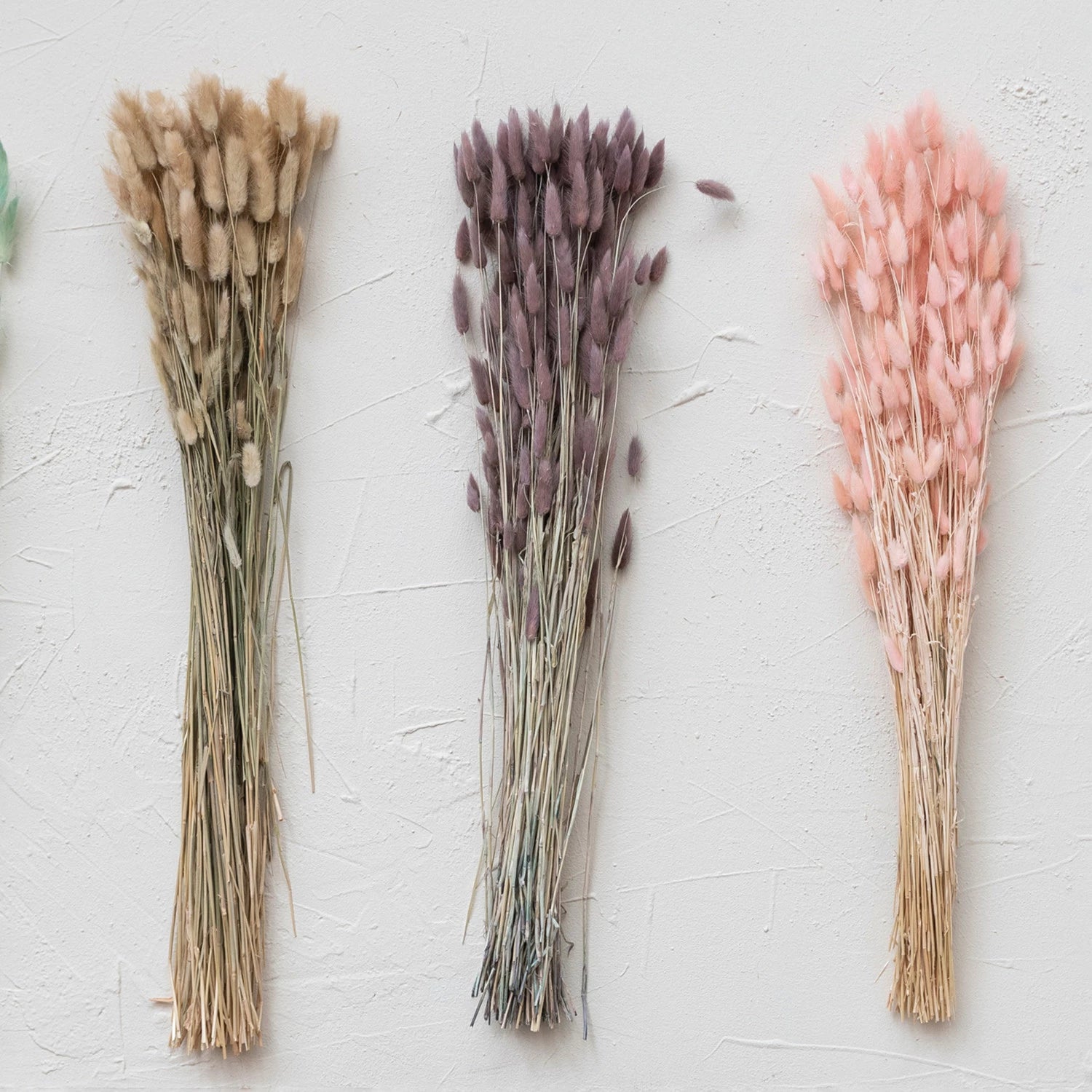 Dried Natural Bunny Tail Bunch, Lavender Color