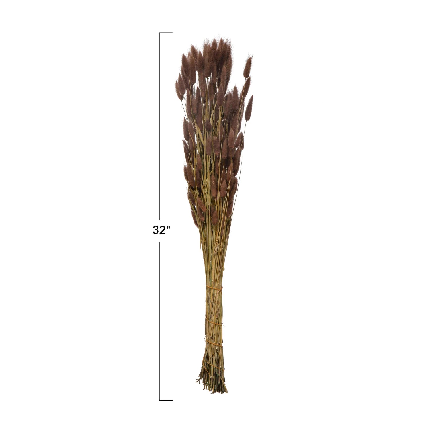 Dried Natural Bunny Tail Bunch, Lavender Color
