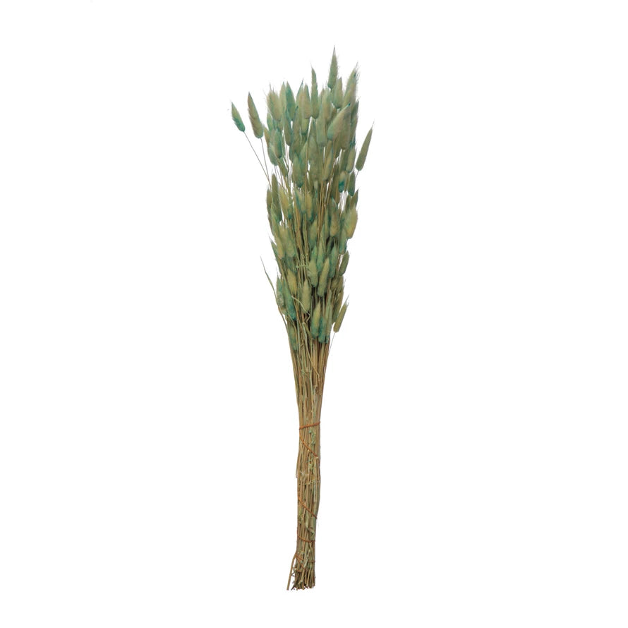 Dried Natural Bunny Tail Bunch, Mint Color