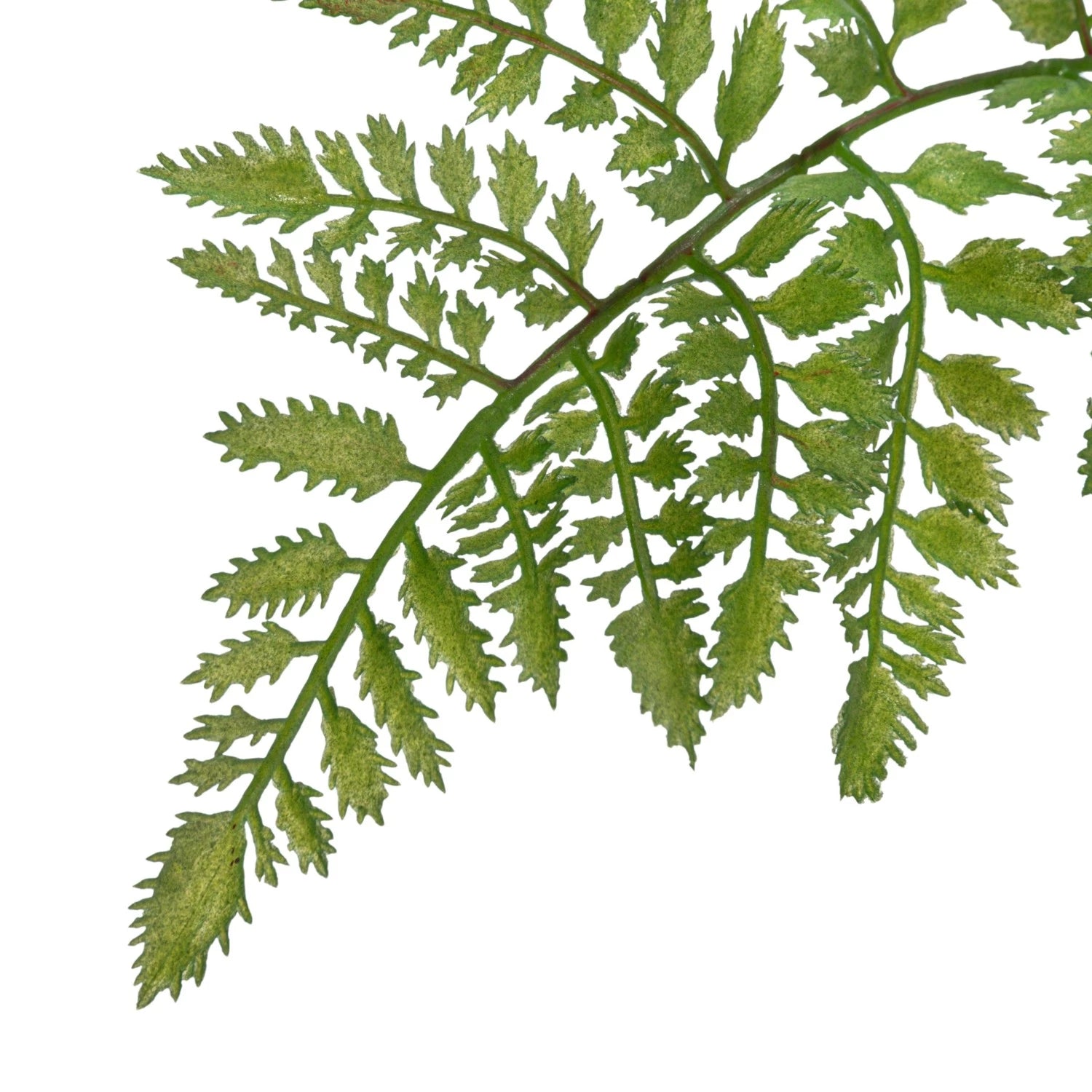 Faux Fern Tree in Plastic Pot