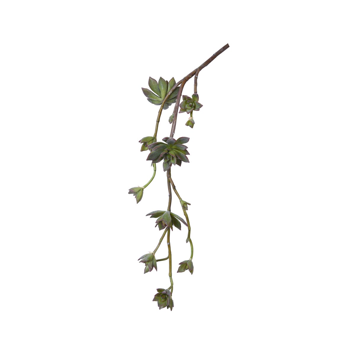 27.56" Succulent Hanging Vine