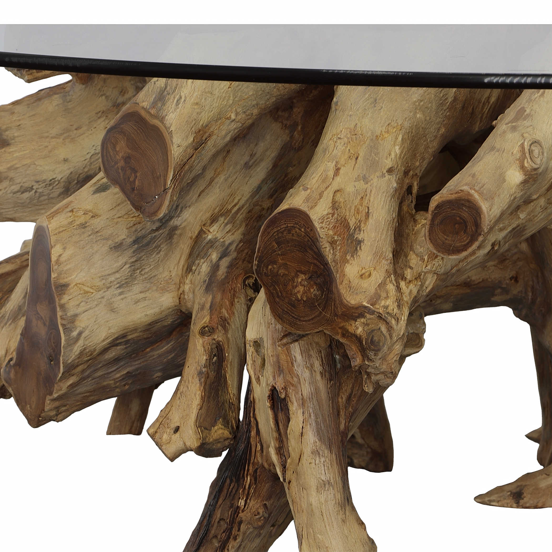 Center Root Round Coffee Table