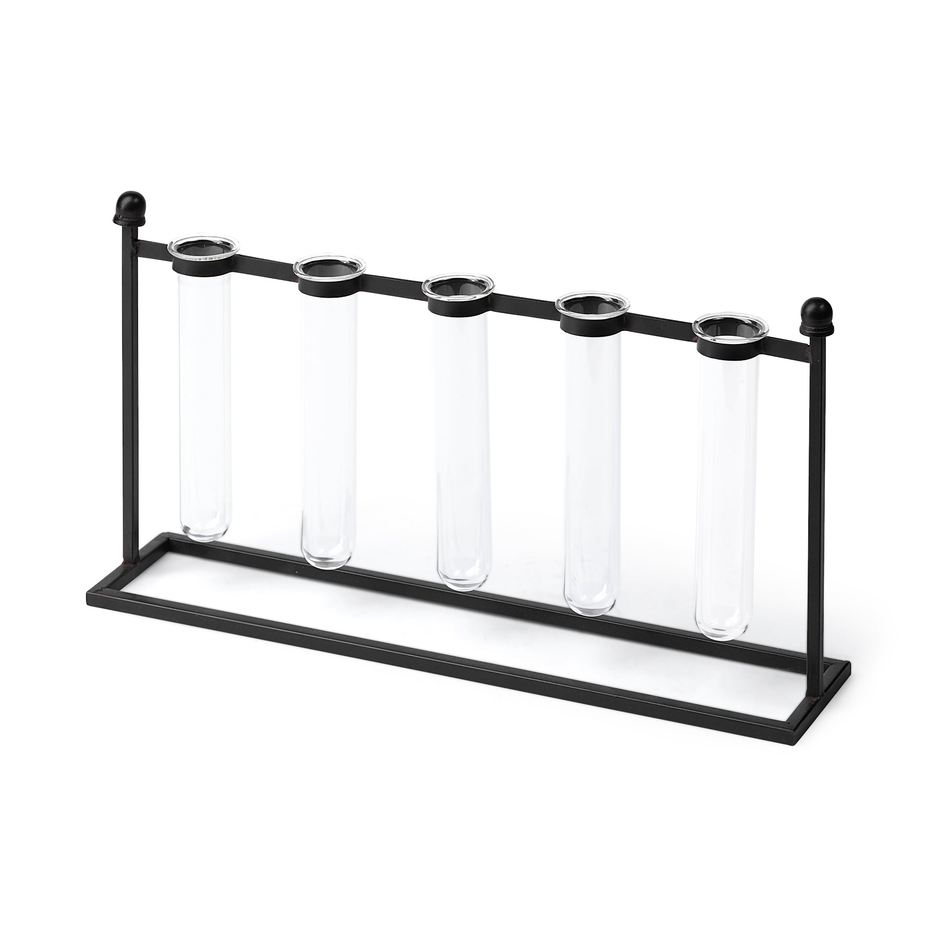 Bunsen 5 Glass Test Tube Vase