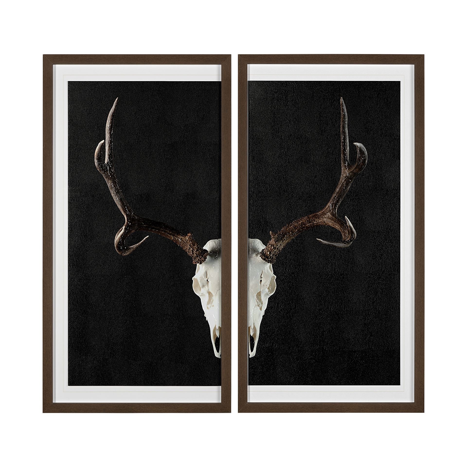 Cervidae Diptych Framed Art