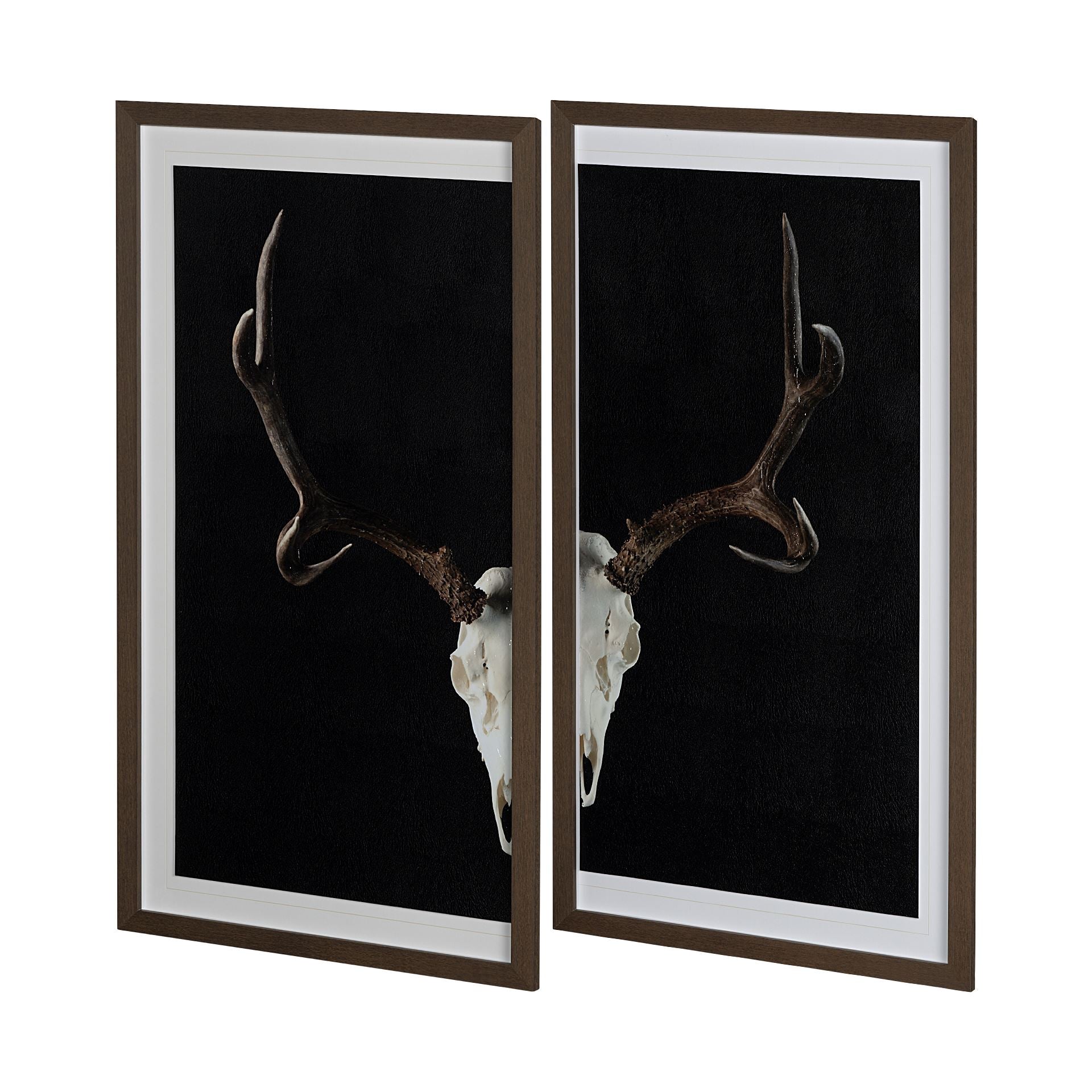 Cervidae Diptych Framed Art