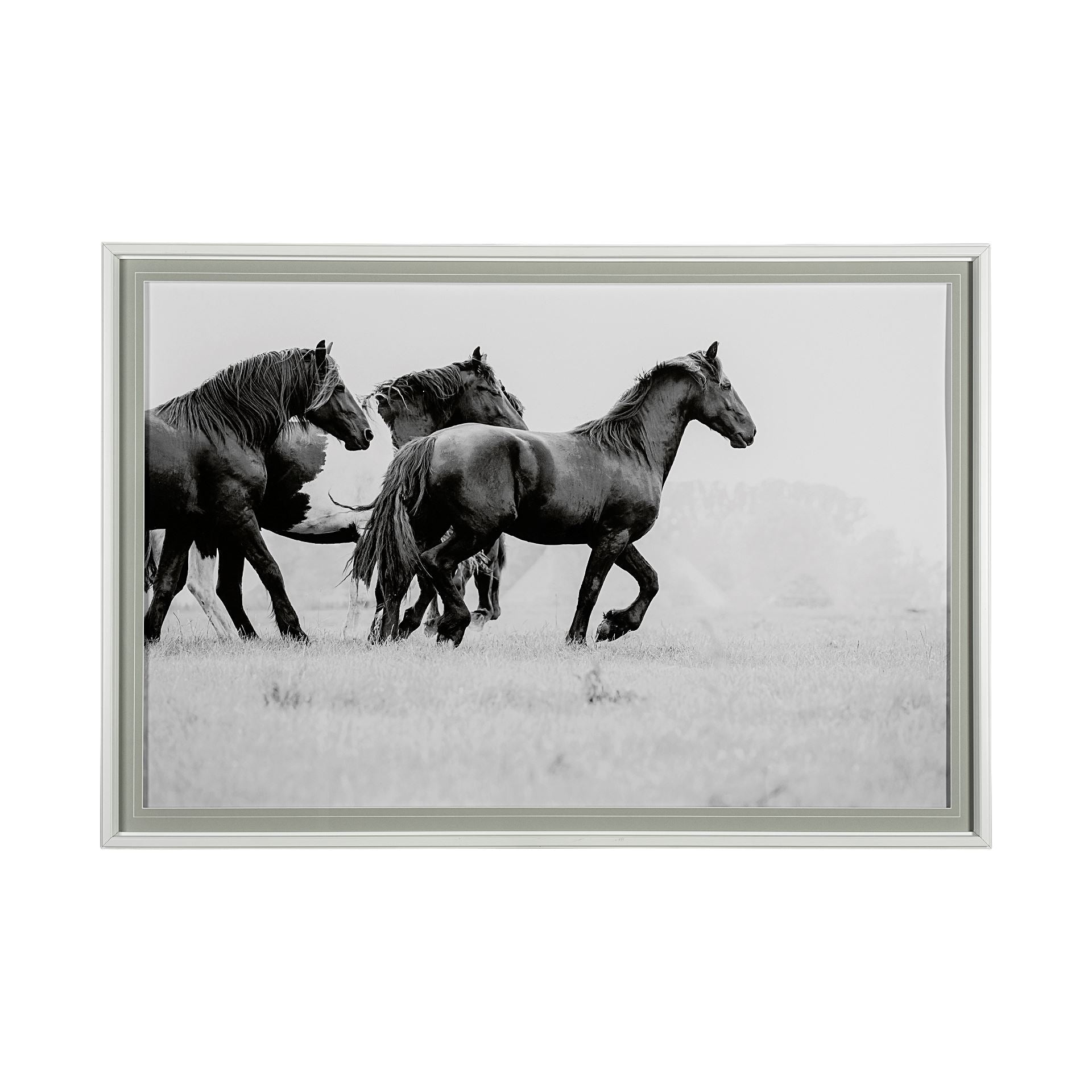 Leading The Way Framed Art