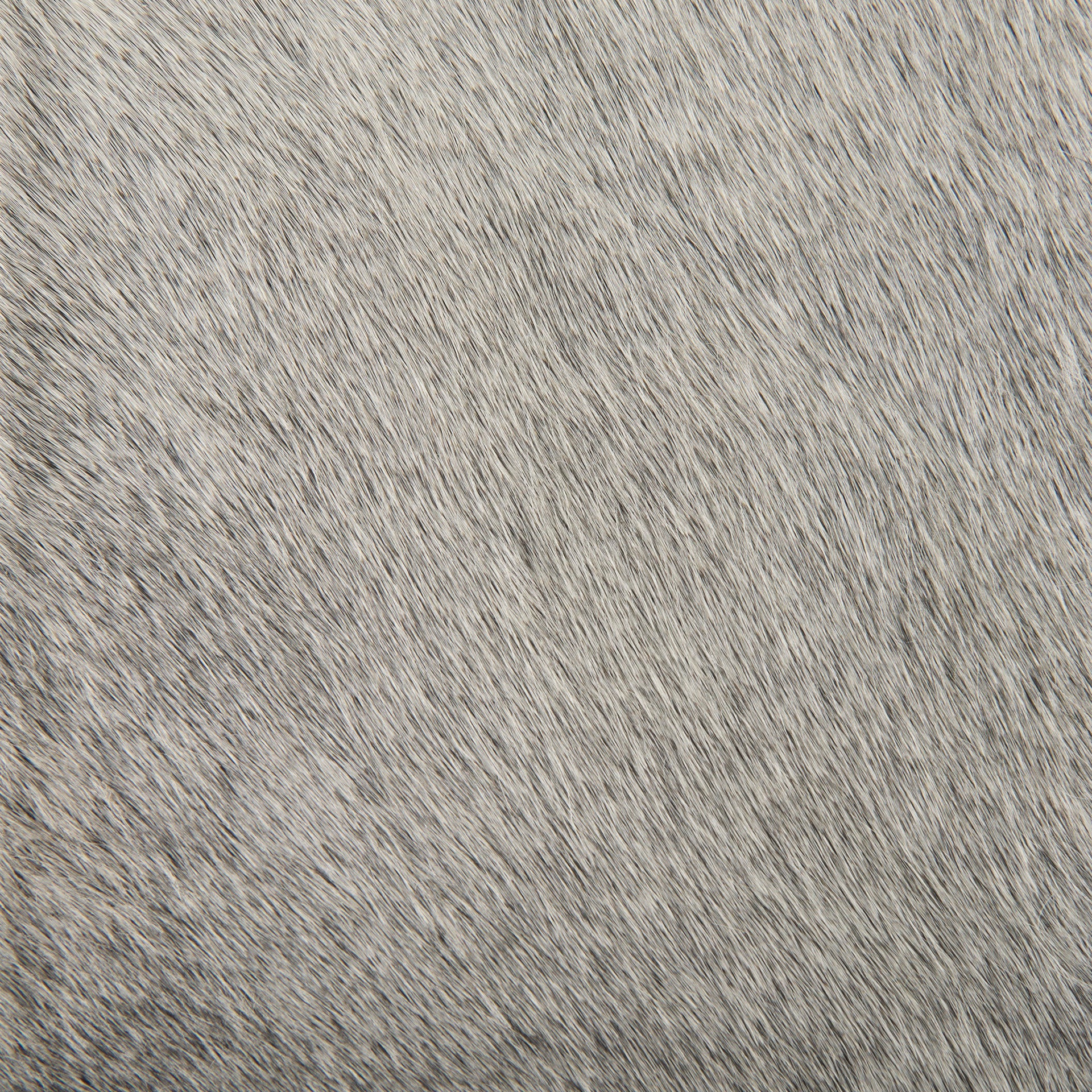 69385