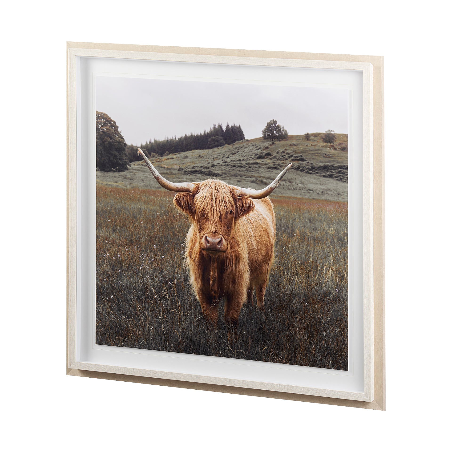Bernie Framed Art