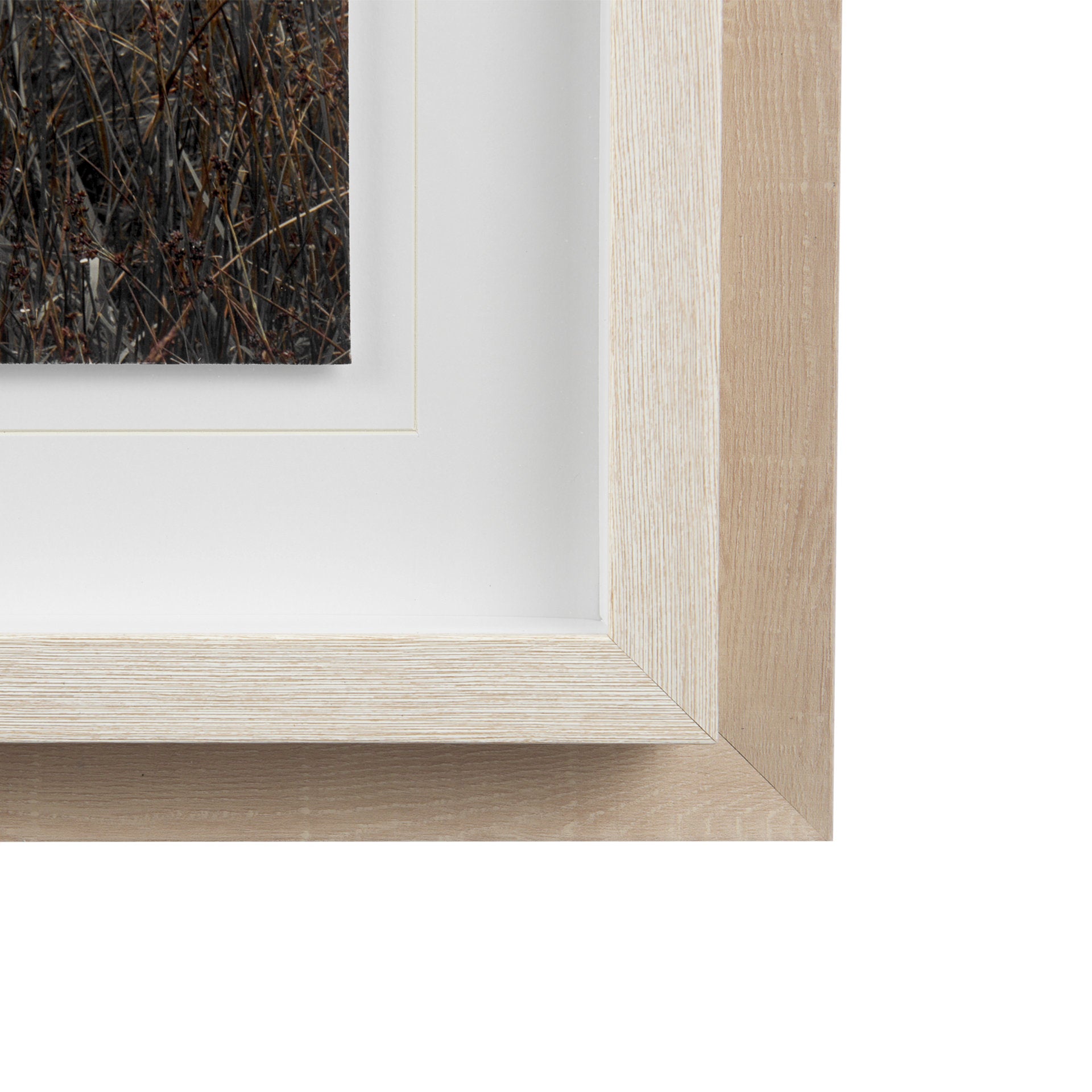 Bernie Framed Art