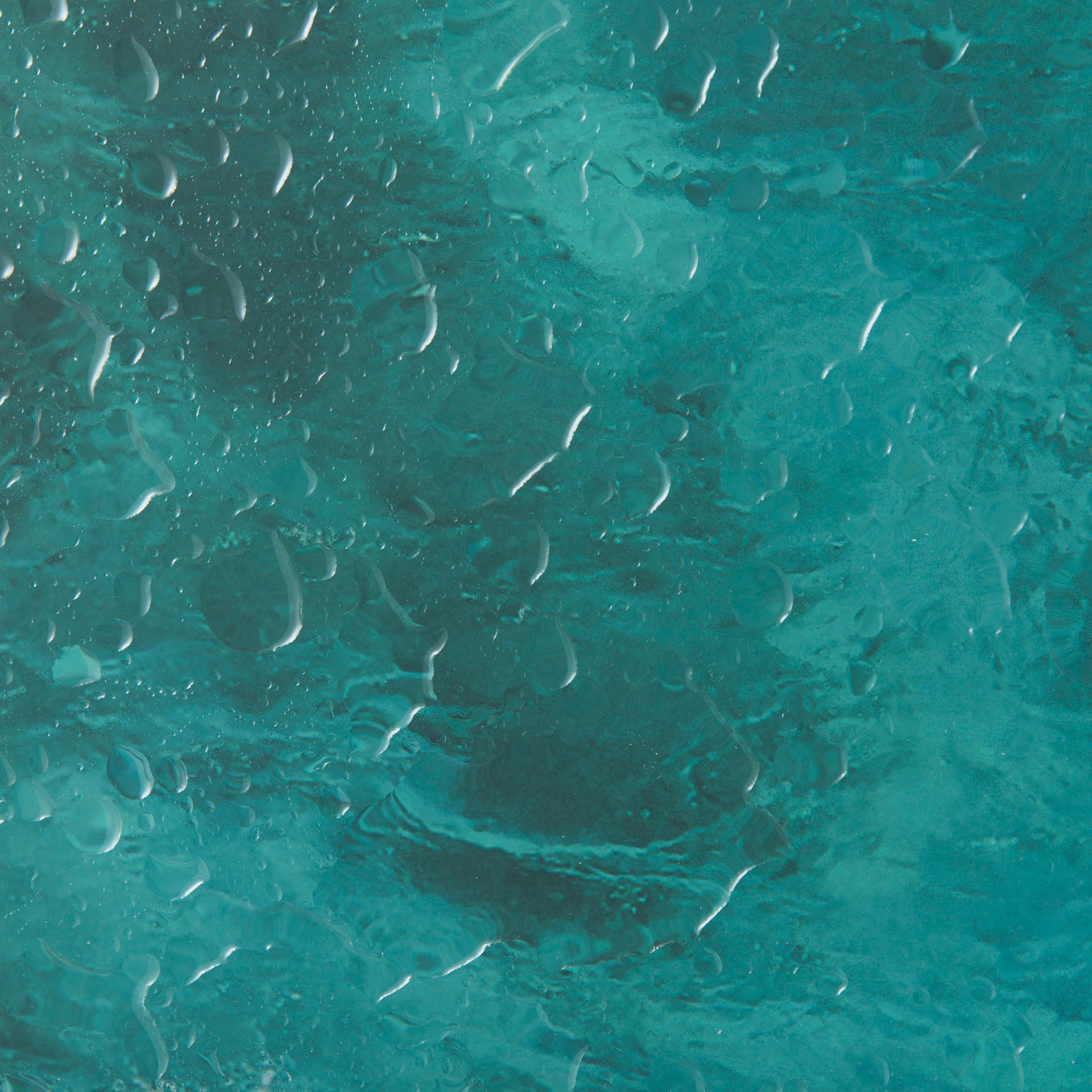 Hobie Sailing Framed Art